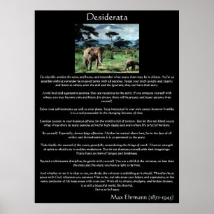 Desiderata um rebanho dos elefantes em posters de