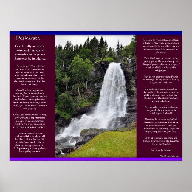DESIDERATA Waterfalls Posters 13 (Frente)