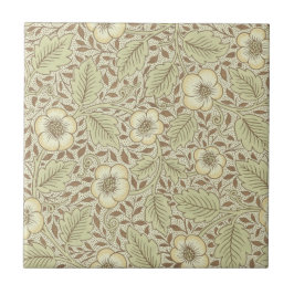 Design 1887 do papel de parede de William Morris