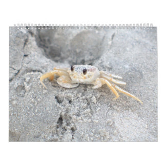 Design 2 do calendário de parede da ilha de