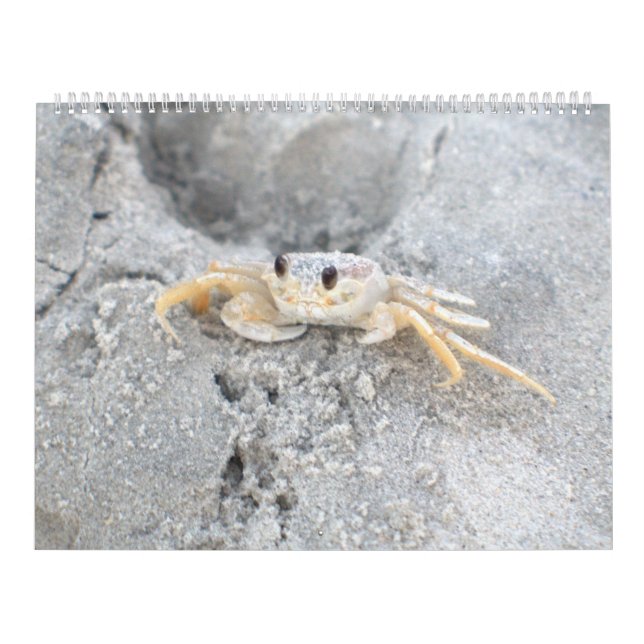 Design 2 do calendário de parede da ilha de (Capa)