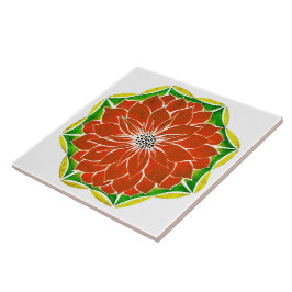 Design ALARANJADO da POINSÉTIA