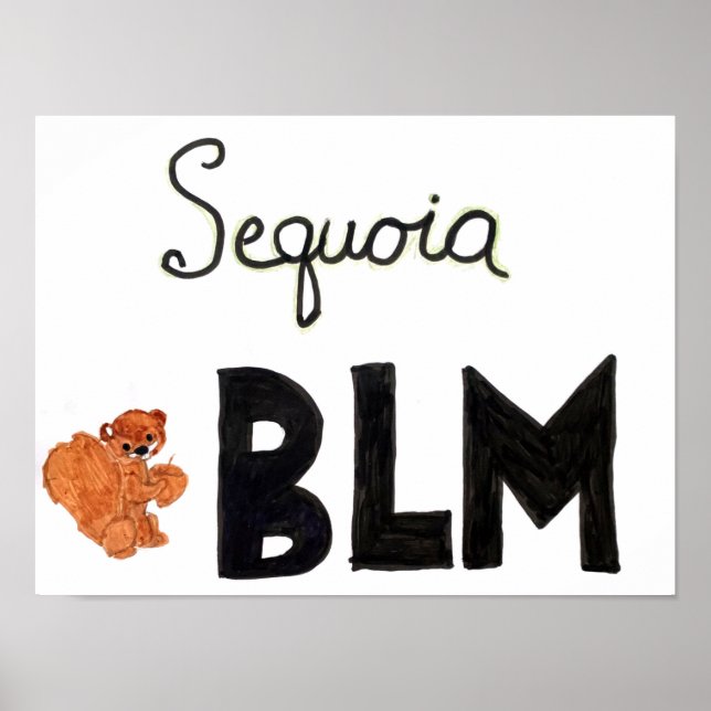 DESIGN BLM - Poster de Leitura Mica (Frente)