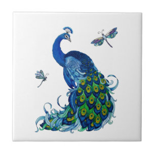 Design Clássico de Peacock e Dragonfly