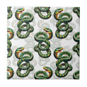 Design Cobra de padrão de fundo branco