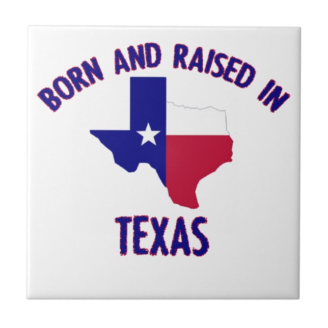 Design da bandeira e do mapa do estado de Texas (Frente)