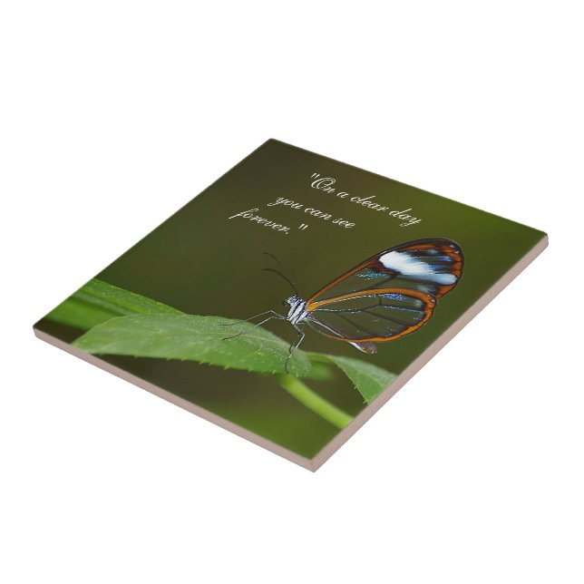 "Design da borboleta de Glasswing de um dia claro" (Lateral)