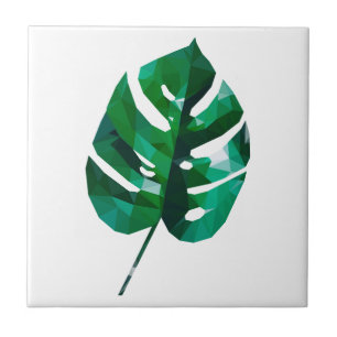 Design da folha de Monstera