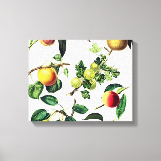 design da fruta canvas (Frente)