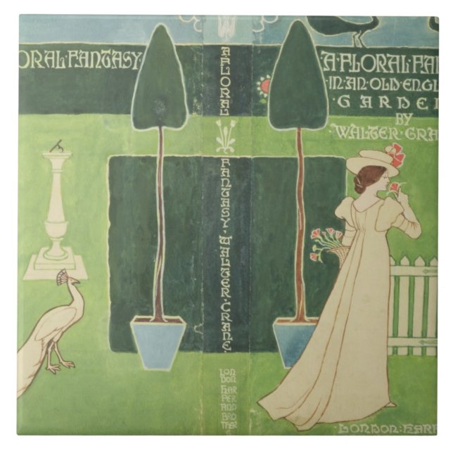 Design da jaqueta de livro para 'uma fantasia (Frente)