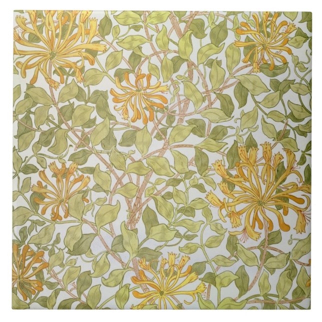 Design da "madressilva", 1883 (Frente)