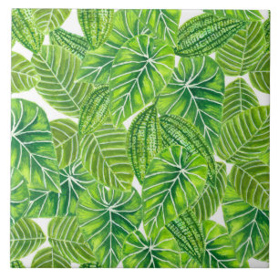 Design das folhas tropicais aquáticas