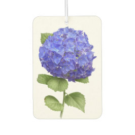 Design de Arte Botânica da Flor Azul Hydrangea