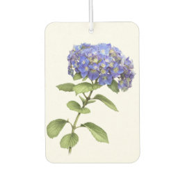 Design de Arte Botânica da Flor Azul Hydrangea