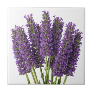 Design de Arte Botânica de Lavanda Vibrante