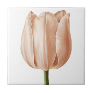 Design de Arte Botânica de Tulipas Suaves