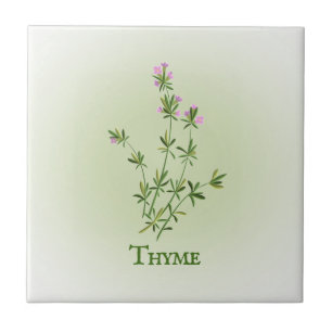 Design de Azulejo Cerâmica Thyme Herbal