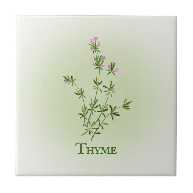 Design de Azulejo Cerâmica Thyme Herbal (Frente)