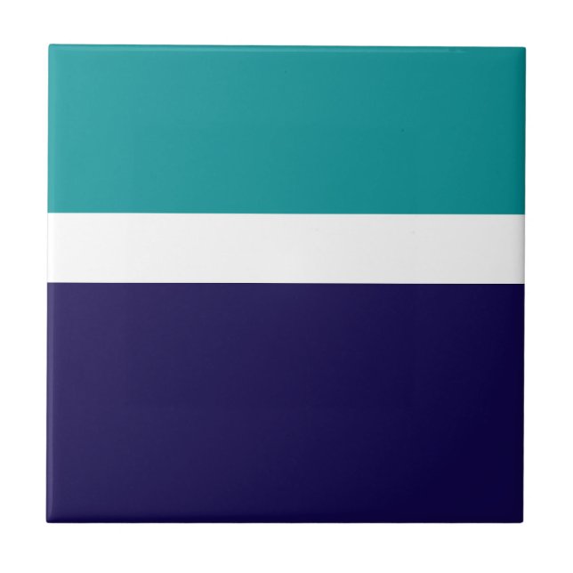 Design de Bloco de Cor Azul Branco Teal (Frente)