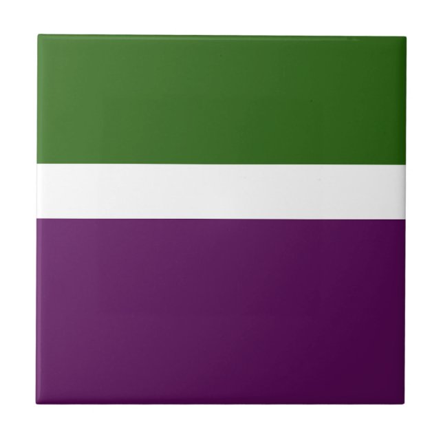 Design de Bloco de Cor Púrpura, Branco Verde (Frente)