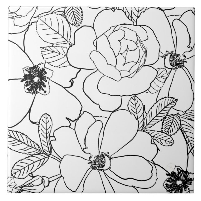 Design de Desenho de Linha Floral de Rosas Elegant (Frente)