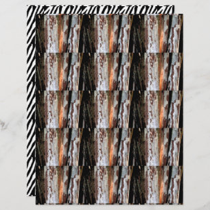 Design de dois lados da selva 1