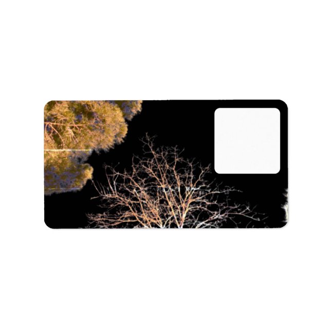 Design de estilo de etiqueta de endereço (Frente)