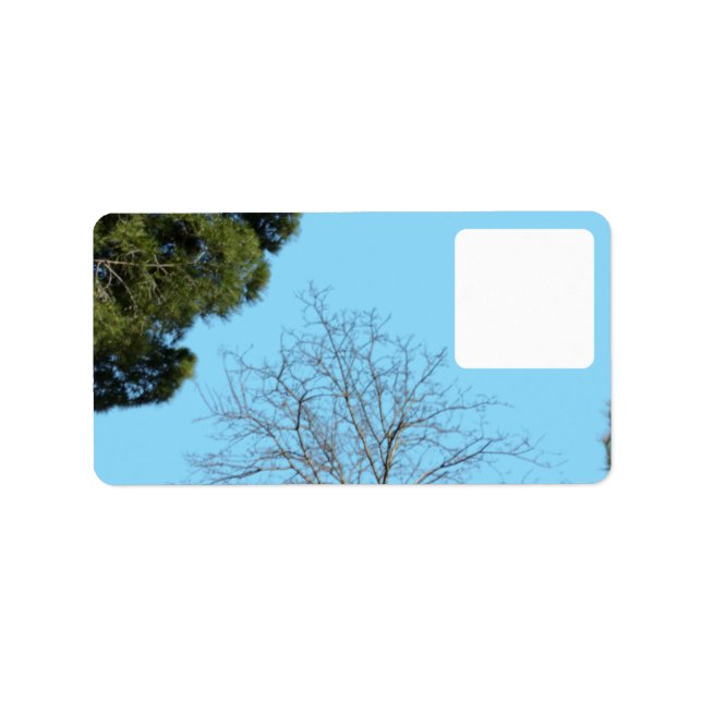 Design de estilo de etiqueta de endereço (Frente)