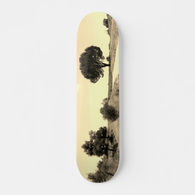 DESIGN DE ESTILO DE SKATEBOARD (Frente)
