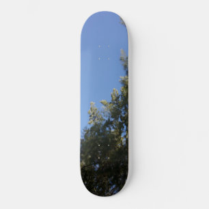 DESIGN DE ESTILO DE SKATEBOARD