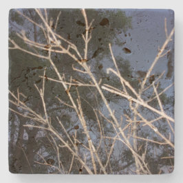 Design DE ESTILO ECO LEGAL da Porta copos de pedra