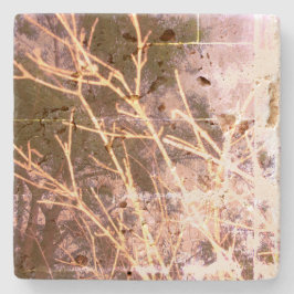 Design DE ESTILO ECO LEGAL da Porta copos de pedra