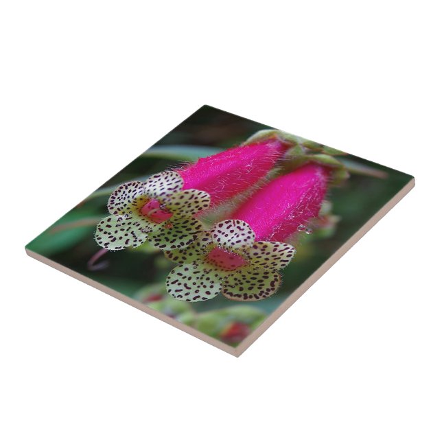 Design de Flor Leopardo (Lateral)