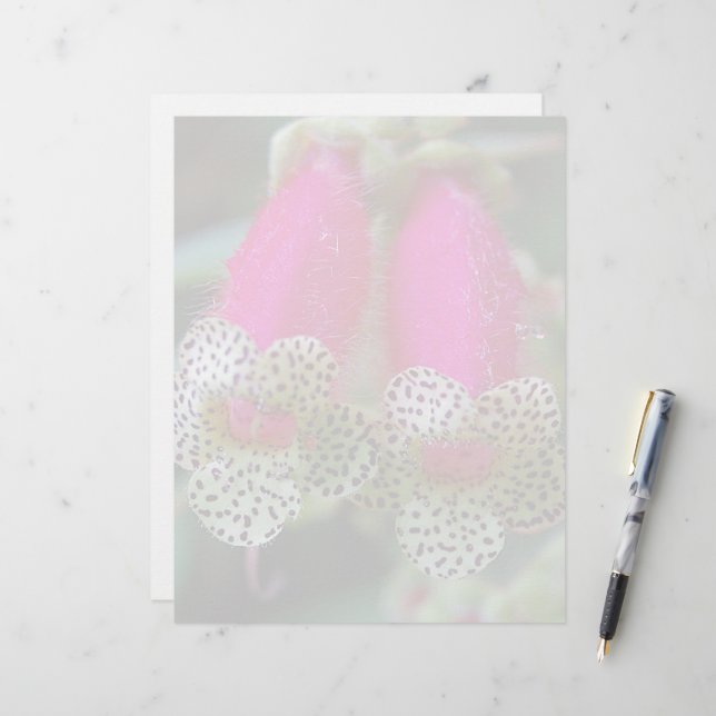 Design de Flor Leopardo (Frente/Verso In Situ)