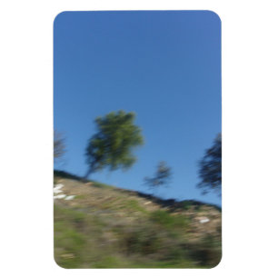 Design de fluxo ecológico do ímã de fotos flexível