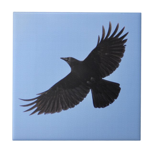 Design de Foto de Amante de Corvid, Flying Black R (Frente)