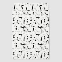 Design de Gatos