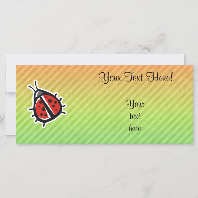 Design de Ladybug (Frente)