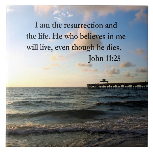 DESIGN DE SCRIPTURE SERENE JOHN 11:25 (Frente)