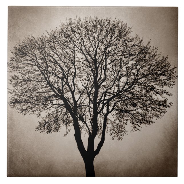 Design de Silhuette Árvore 205 (Frente)