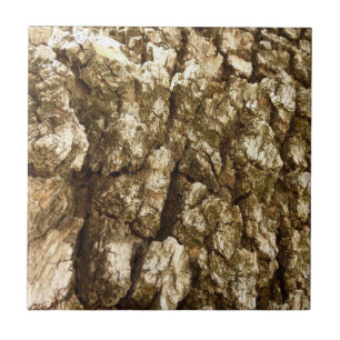 Design de Textura Natural II Casca de Árvore