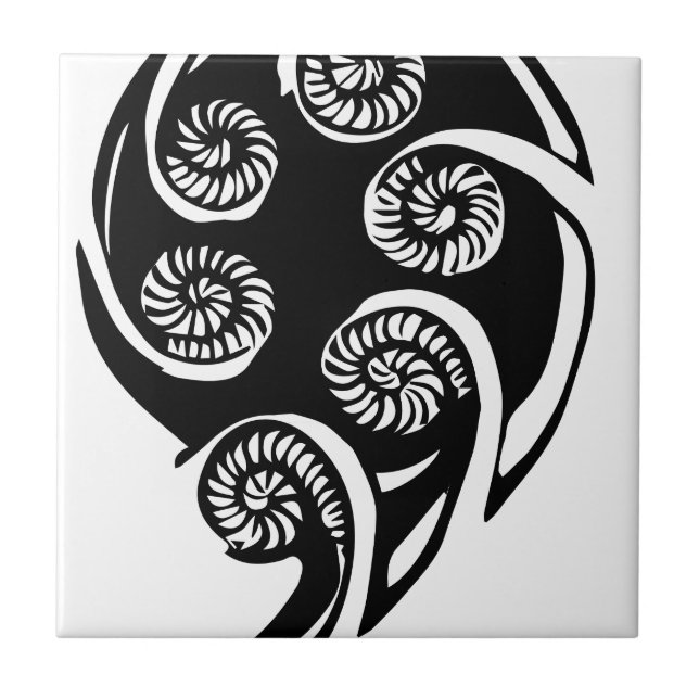 design do koru do aotearoa (Frente)