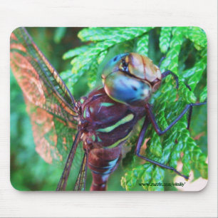 Design do mousepad da libélula