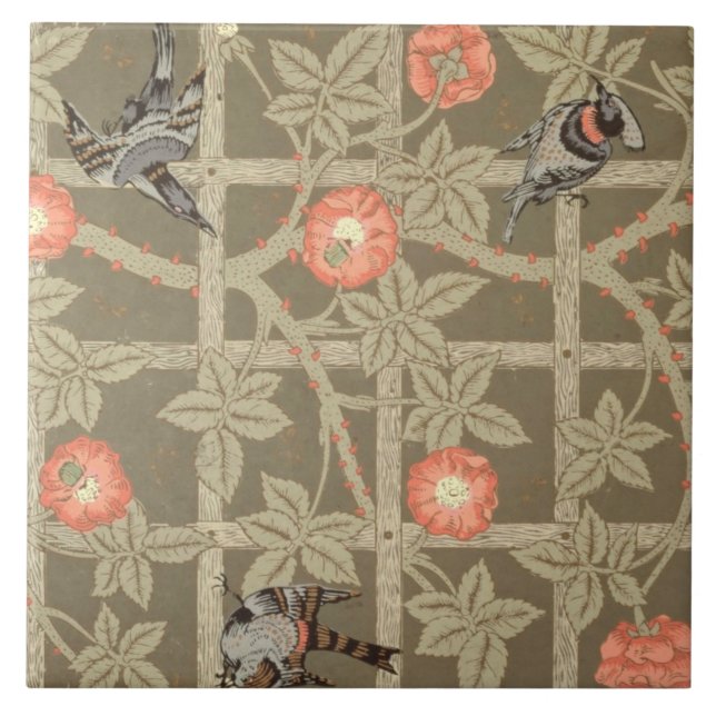 Design do papel de parede da treliça com um backg (Frente)