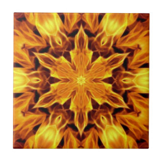 Design Exótico/Estranho 05A~ Fora Do Cruel ~