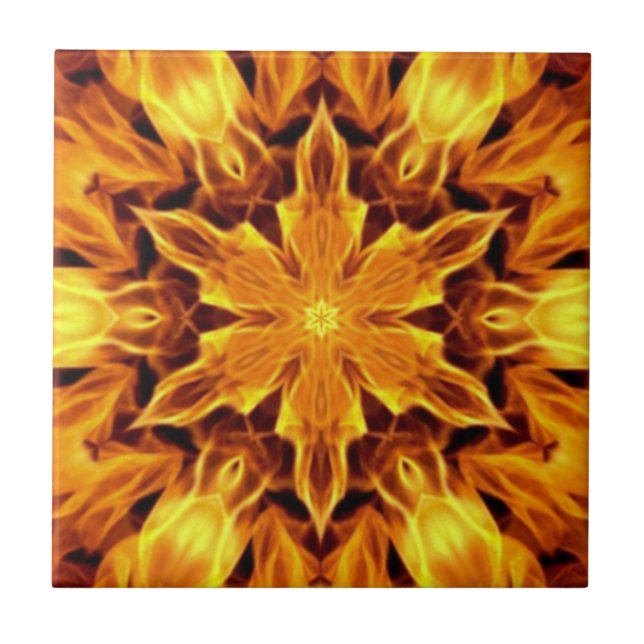 Design Exótico/Estranho 05A~ Fora Do Cruel ~ (Frente)