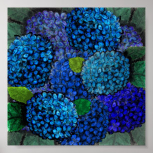 Design Floral, Blue Hydrangea Impressão