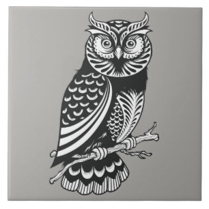 Design ilustrado da coruja