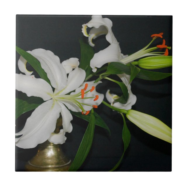 Design Irlandês - Coleção Brass e Flor (Frente)