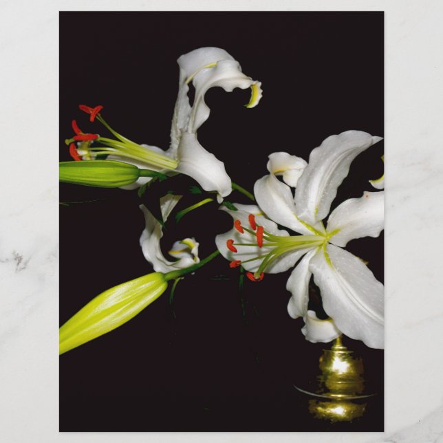 Design irlandês - Coleção de latas e flores (Frente)